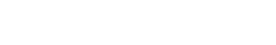Paws On Pixels | NinaMedia